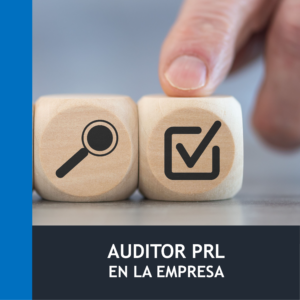 Auditor en Prevención de Riesgos Laborales