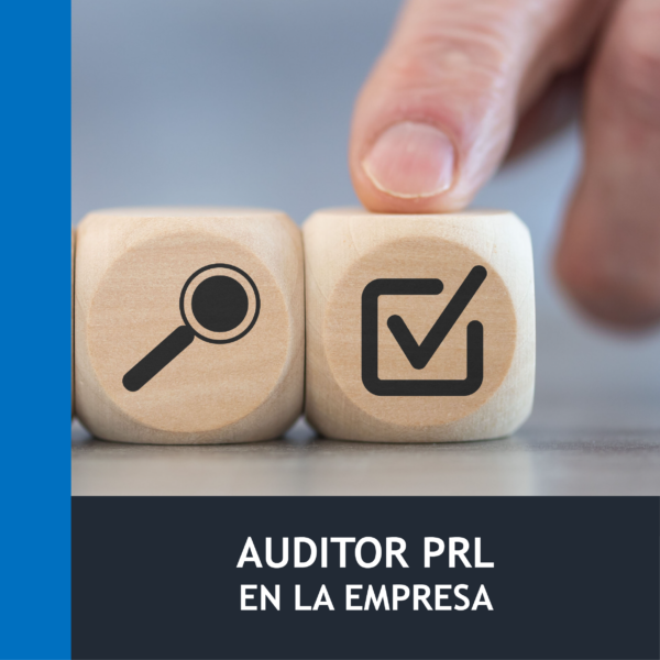 Auditor en Prevención de Riesgos Laborales