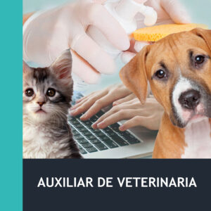 Auxiliar de Veterinaria