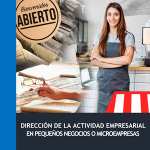 Dirección de la Actividad Empresarial de Pequeños Negocios o Microempresas