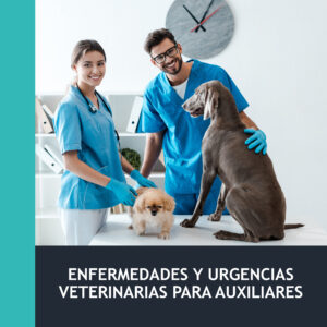 Enfermedades y Urgencias Veterinarias para Auxiliares