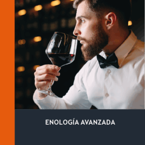 Enología Avanzada