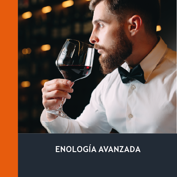 Enología Avanzada