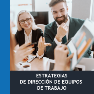 Estrategias de Dirección de Equipos de Trabajo (30h)