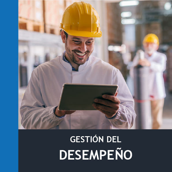 Gestión del Desempeño (30h)