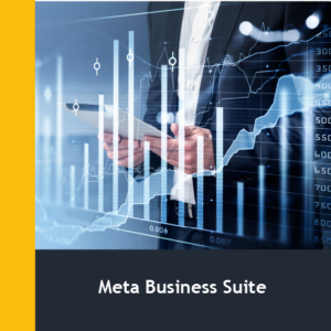 Meta Business Suite (30h)