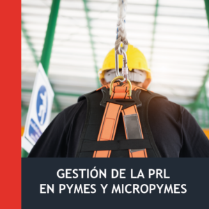 Gestión de la PRL en Pymes y Micropymes (30h)