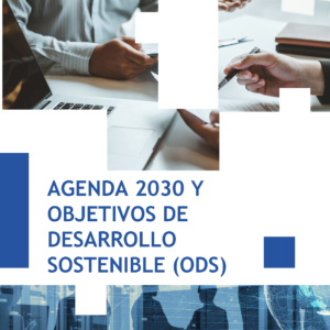 Agenda 2030 y Objetivos de Desarrollo Sostenible (ODS)